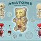 Image for article titled The Anatomy Of A Gummi Bear